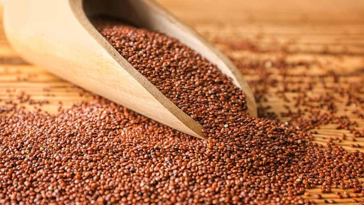 The Benefits and Uses of Halim Seeds: A Powerful Superfood