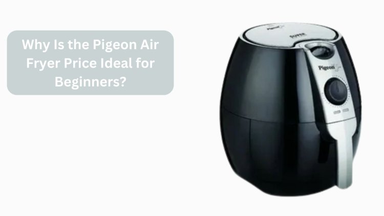 Why Is the Pigeon Air Fryer Price Ideal for Beginners?